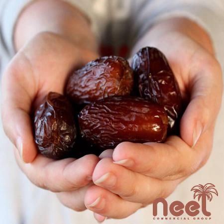 Differences Between Medjool Dates and Ajwa Dates