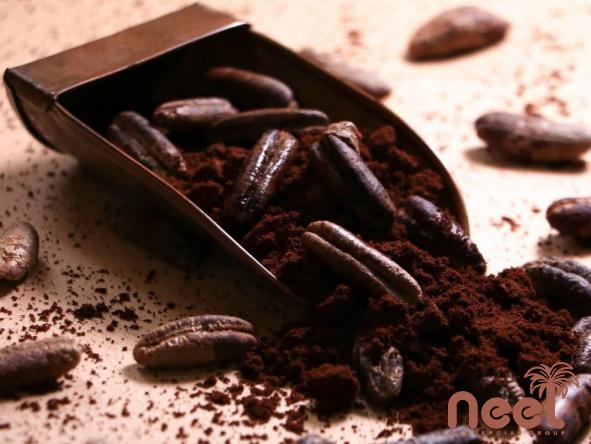 Date Seed Coffee Benefits and Nutrition Facts