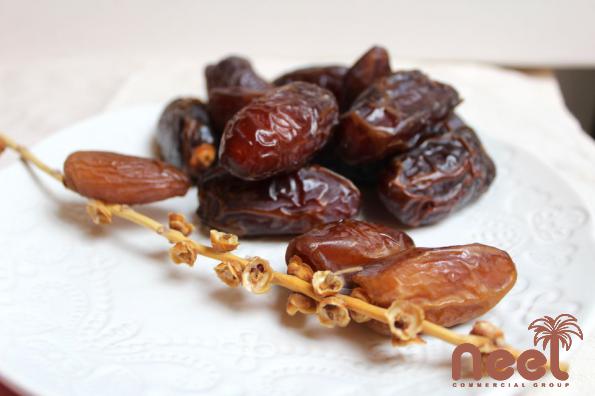 What are Medjool Dates Fruit?