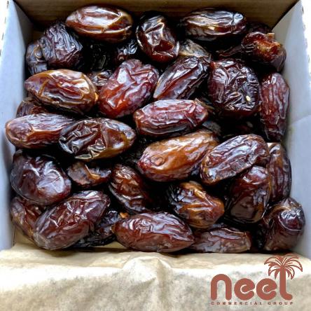 Top Rated Bulk Provider of Medjool Dates in the Middle East