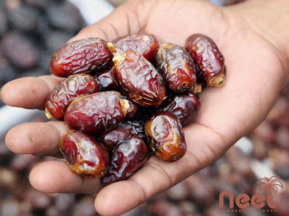 E-Commerce Suppliers Meet Your Needs of Medjool Dates Wholesale