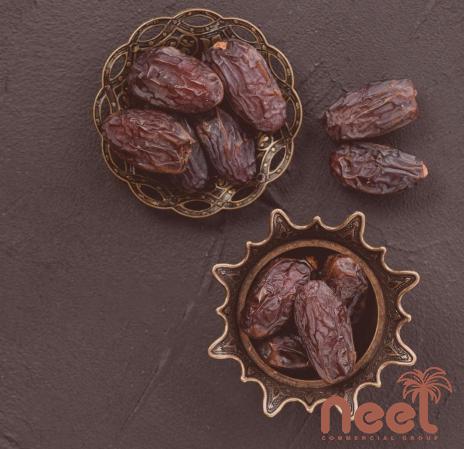 Increase Your Financial Growth by Trading Fresh Medjool Dates in Bulk