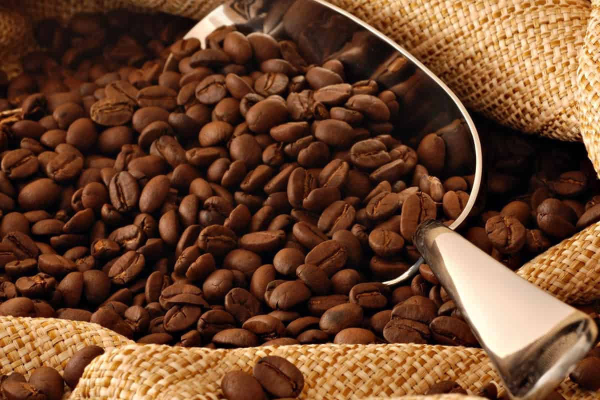  Date Coffee Wholesale Buy Amazon Reddit 