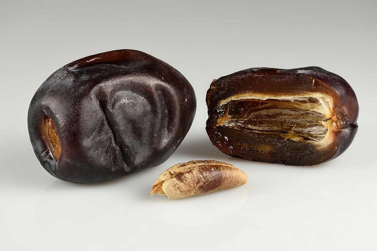  Iranian Dates Market Price Near Me 