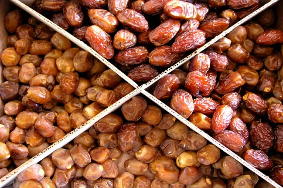  Introducing khajur dry dates + the best purchase price 