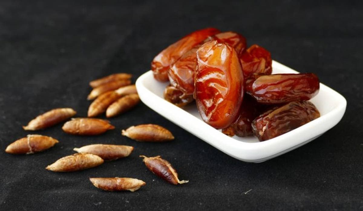  Buy all kinds of iranian date at the best price 