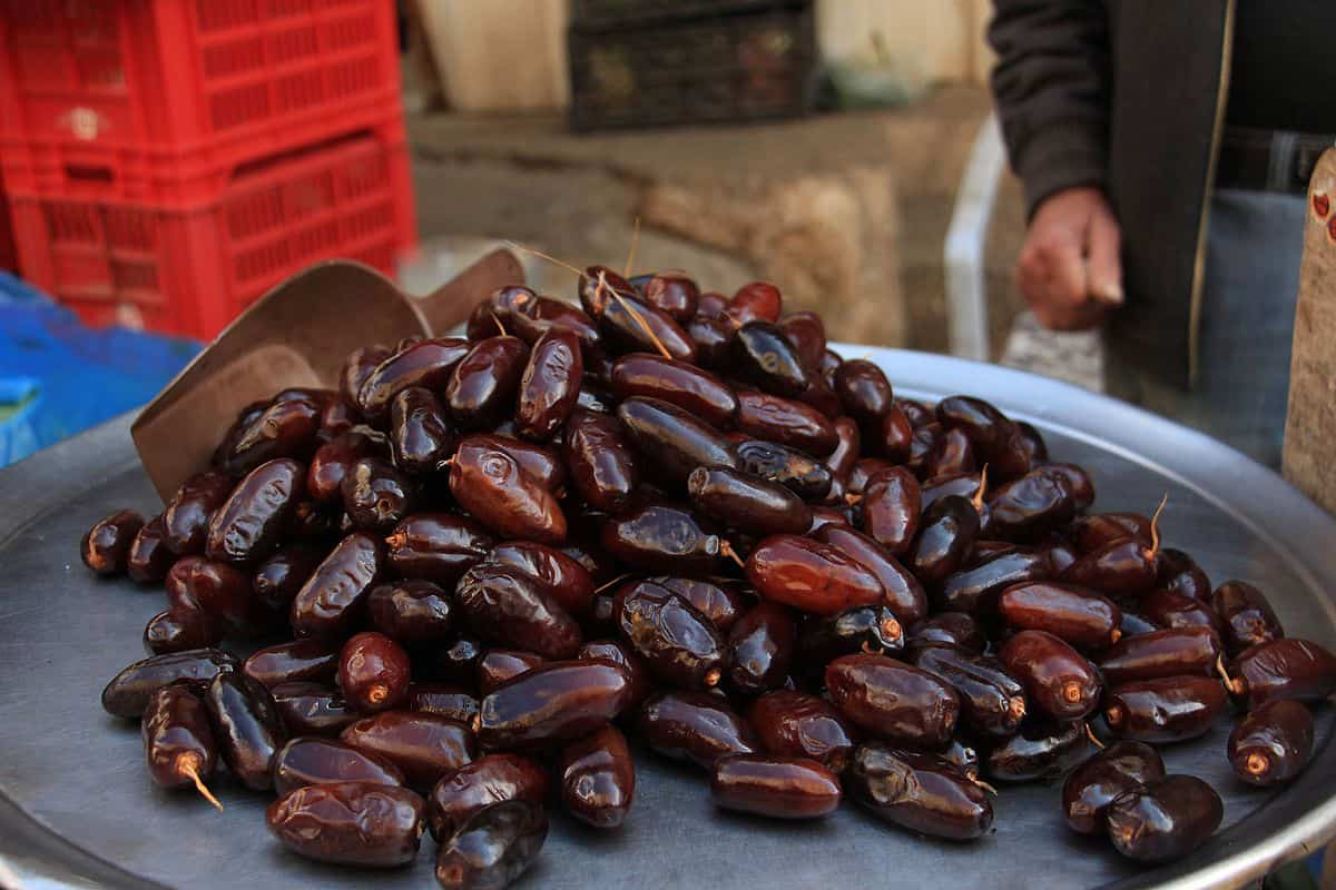  what is mazafati date + purchase price of mazafati date 