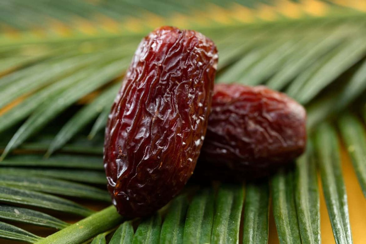 Medjool Dates Price Premium 1kg 5kg