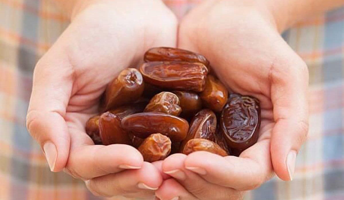  gather pitted dates purchase price + quality test 