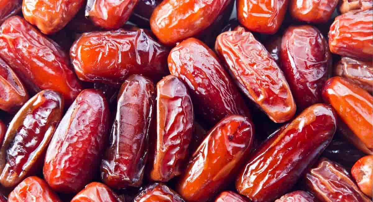  Buying Mazafati Date Origin Benefits Suppliers 