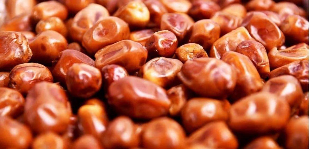 Wholesale Zahedi Dates Benefits Nutrition Calories