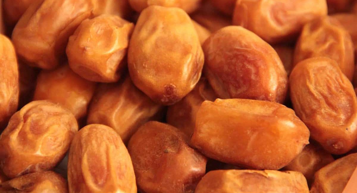  Wholesale Zahedi Dates Benefits Nutrition Calories 