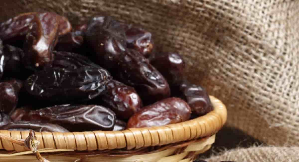  Wholesale Zahedi Dates Benefits Nutrition Calories 