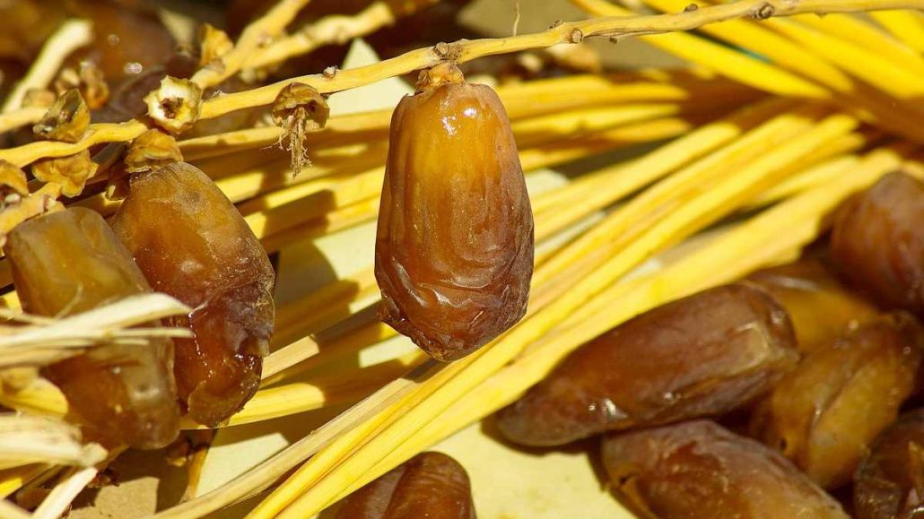  Best palm date fruits + Great Purchase Price 