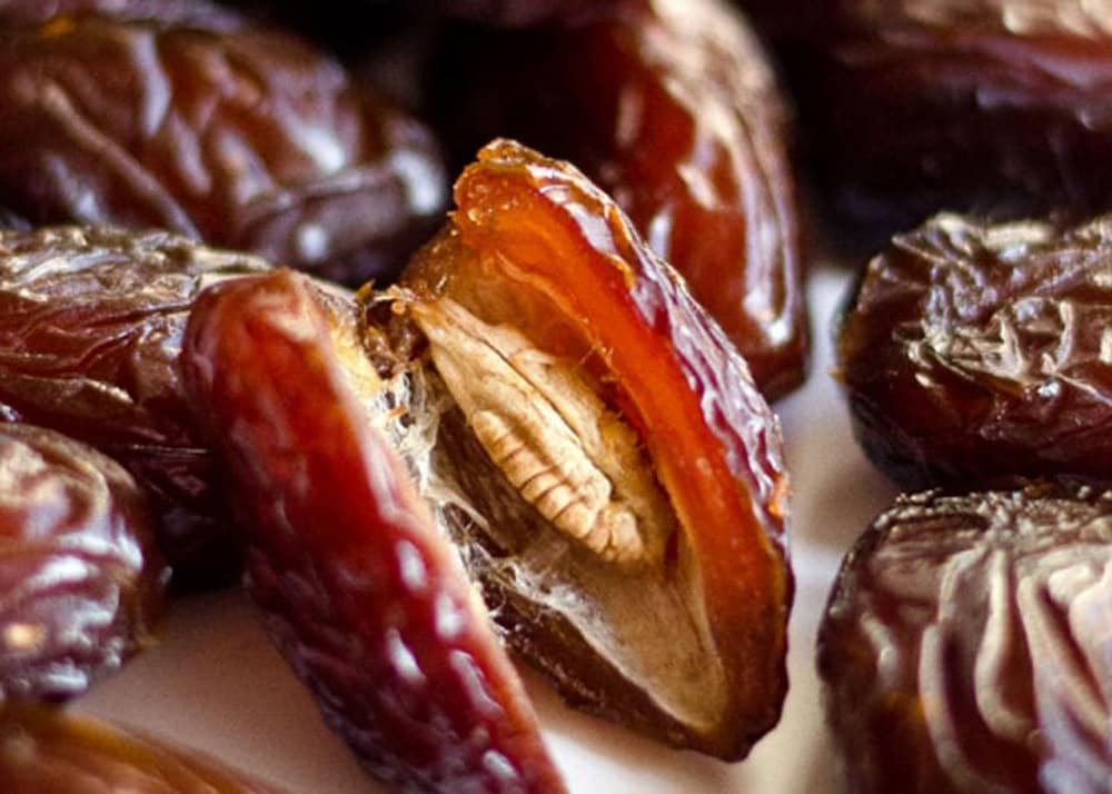  Medjool Dates for sale 