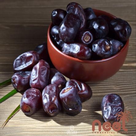 The price of mazafati dates + purchase and sale of mazafati dates wholesale