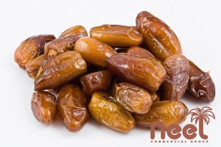 The price of bulk purchase of mazafati dates vs ajwa dates is cheap and reasonable