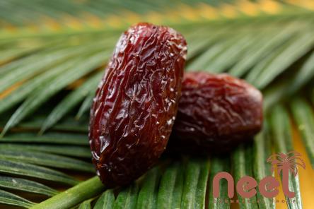 The price of bulk purchase of organic piarom dates is cheap and reasonable