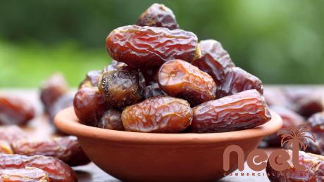 Price and purchase noor dates vs medjool with complete specifications