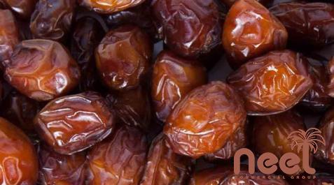 Price and purchase medjool vs deglet noor dates with complete specifications