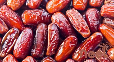 The price of bulk purchase of mazafati dates 600g is cheap and reasonable