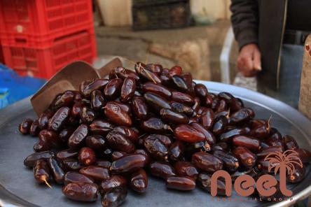 dates khajoor online with complete explanations and familiarization