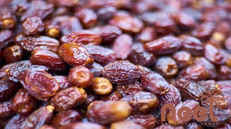 The price of bulk purchase of medjool dates organic is cheap and reasonable