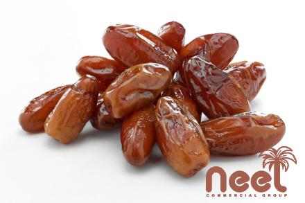Price and purchase zahedi dates iraq with complete specifications