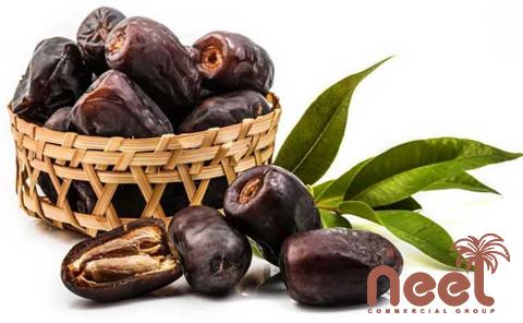 Price and purchase deglet nour algerian dates with complete specifications