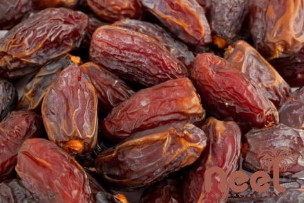 Price and purchase dried deglet noor dates with complete specifications