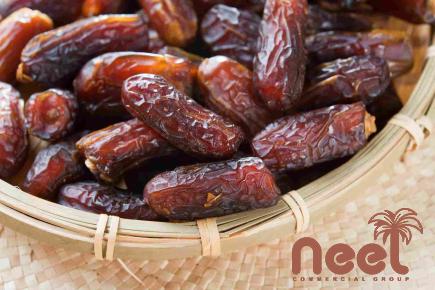 mazafati dates vs medjool with complete explanations and familiarization