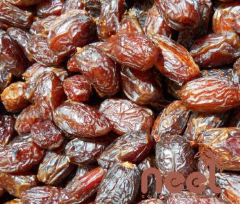 fresh organic medjool dates with complete explanations and familiarization