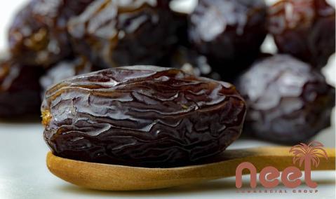 Price and purchase medjool dates vs deglet noor with complete specifications