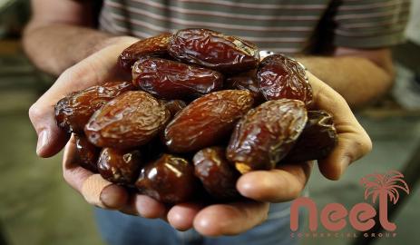 yellow vs black dry dates acquaintance from zero to one hundred bulk purchase prices