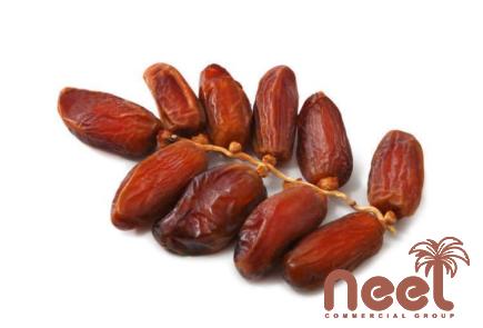 Price and purchase light brown dates with complete specifications