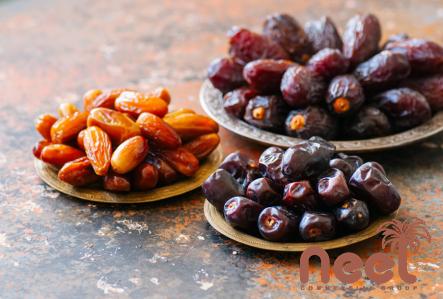 organic medjool dates 1kg acquaintance from zero to one hundred bulk purchase prices