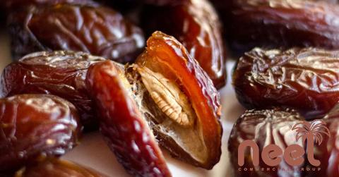 The price of bulk purchase of dry organic dates is cheap and reasonable