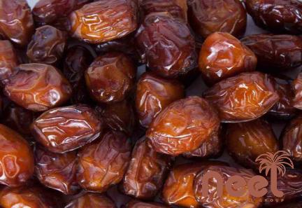 kimia dates khajur with complete explanations and familiarization